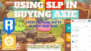 Buy Axie Using SLP (Simple Guide)