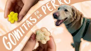 🐶 Consiente a tu perrijo con estas gomitas 🐾