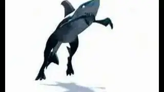 Finsbury Shark