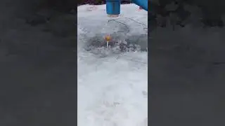 Finnish crush channel crushes lollipop