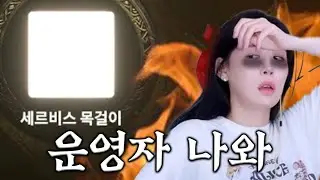 [로드나인]영웅악세20강하다가 금쪽이등장.#찐텐 #로드나인