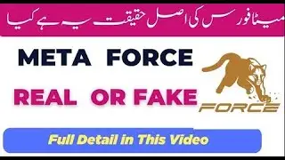 What is Metaforce | Earning plans of MetaForce
