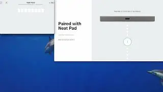 Setting up Neat Bar Pro with Neat Pulse - Zoom Rooms