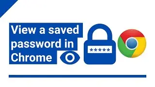 How to view a saved password in Google Chrome (step by step)