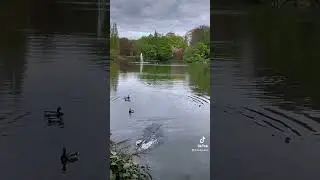 Walsall ArboretumВолсолський дендрарій АнгліяЧАСТИНА1