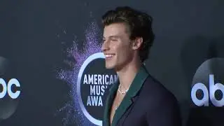 Shawn Mendes Red Carpet Fashion I AMAs 2019