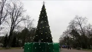 Christmas weather. Kiev. Victory Park. 2019 - 2020