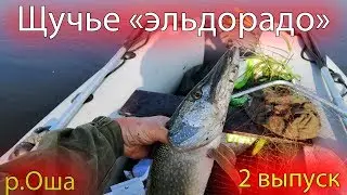 щучье эльдорадо на малой реке Оша