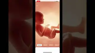 6+ PREGNANCY APPS I LOVE| BEST APPS| PREGNANCY MUST HAVE|