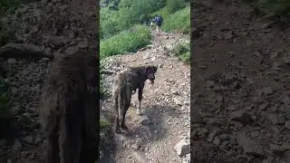 5 июля 2024 г.