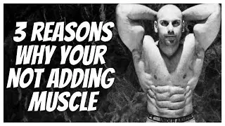 Watch This if Your Struggling to Add Muscle