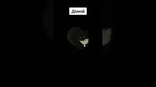сними видео с этим звуком 