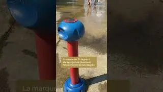 Records de chaleur | Vidéojournal