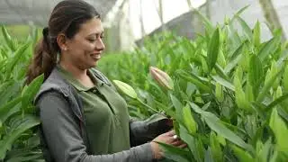 A Story Behind Every Flower by Colour Republic