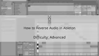 TIPS & TRICKS: How to Reverse Audio in Ableton