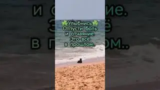 Пусть каждый, кто это увидит, найдёт своё счастье🙏
