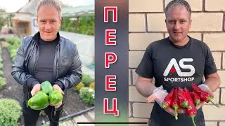 Перец