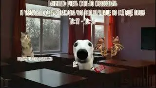 Как я сдавала ОГЭ по истории