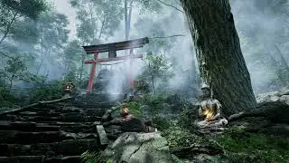 Japanese Forest  .Unreal Engine