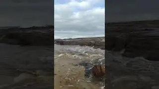 Rugged Shoreline
