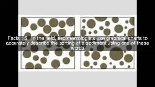 Sorting (sediment) Top  #8 Facts