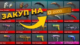 Закуп На 2000 Голды | Оранжевый сет | Перчи + Нож
