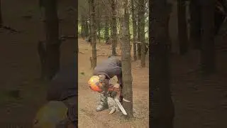 Sometimes They Fall Over