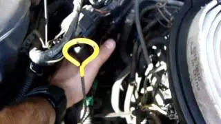 Metro Alternator Belt