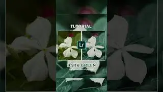Tips Tutorial Lightroom Dark Green #shorts