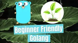 Intro to Variables - Beginner Friendly Golang