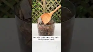 Use banana peels as fertilizer  #gardening #agriculture #farming