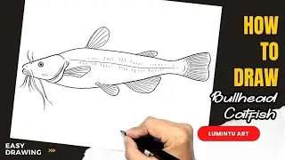 How to draw Bullhead Catfish