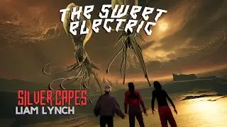 The Sweet Electric - "Silver Capes" (Liam Lynch)