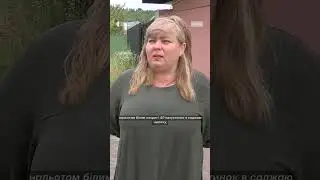 Скупчення комах білокрилки на капусті на Полтавщині