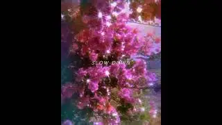 Chill Bill best part (slowed)