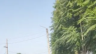 ИШТИХОНДИ СОГИНГАНЛАР УЧУН МАХСУС ВИДЕО