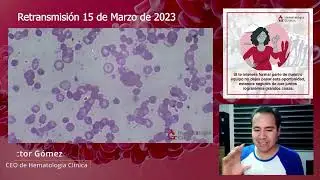 Noche al microscopio 🔬