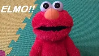 Hasbro Playskool Sesame Street Laugh Out Loud Elmo Plush Toy with Dorothy's fishbowl squeaker Demo