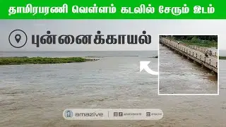 தாமிரபரணி வெள்ளம் கடலில் சேரும் அரிய காட்சி     |    புன்னைக்காயல்     |    Estuary    |    #amazive