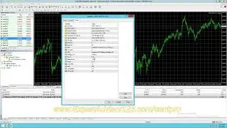 Setup Cent Pro V1.1 EA Forex Robot for Cent Account