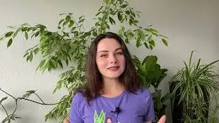 4: Watering | Houseplant Guide for Beginners | PLANT CRASH COURSE