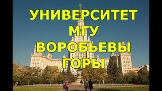 МГУ  ВОРОБЬЕВЫ ГОРЫ  ПАРК  ОЗЕРО