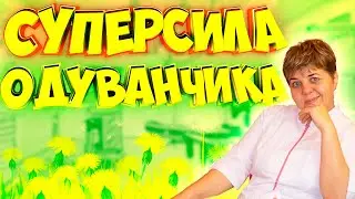 Откройте секреты 🟡одуванчика: видео, которое изменит ваше представление о цветках 🌷 🌸 🌹 🌺 🌻