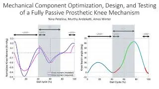Nina Petelina: Low-Cost Late Stance Flexion Damper for a Passive Prosthetic Knee