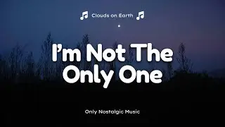 Sam Smith - I'm Not The Only One (Lyrics)