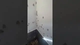 Что это?