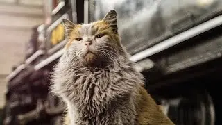 Баня. Для семейного отдыха.