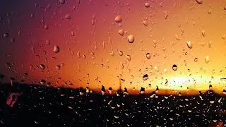 YAĞMUR SESİ (RAIN SOUND)