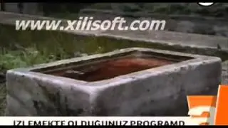 Lugina e Ujqërve Kurthi - Këtë Javë