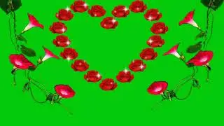 Flowers green screen effects rose green screen. Heart's effects green screen. Rose effects s
